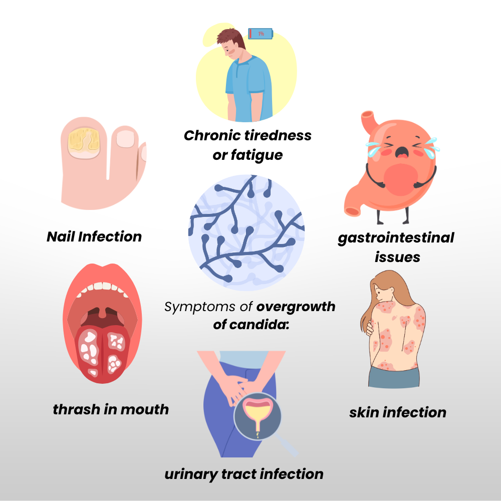 Limpieza de Candida, apoyo para el intestino y el colon